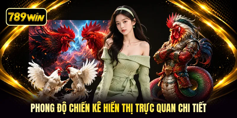 Phong độ chiến kê hiển thị trực quan chi tiết